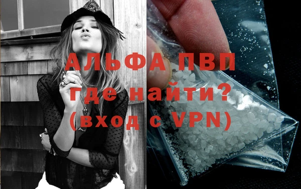 сатива Белокуриха