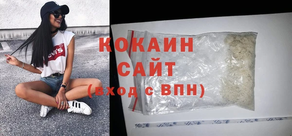 сатива Белокуриха
